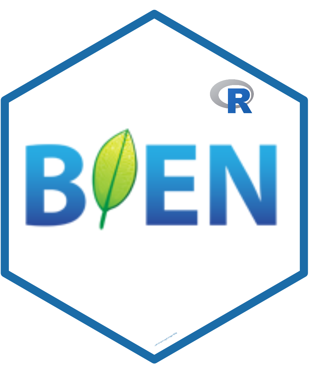 R BIEN hex sticker