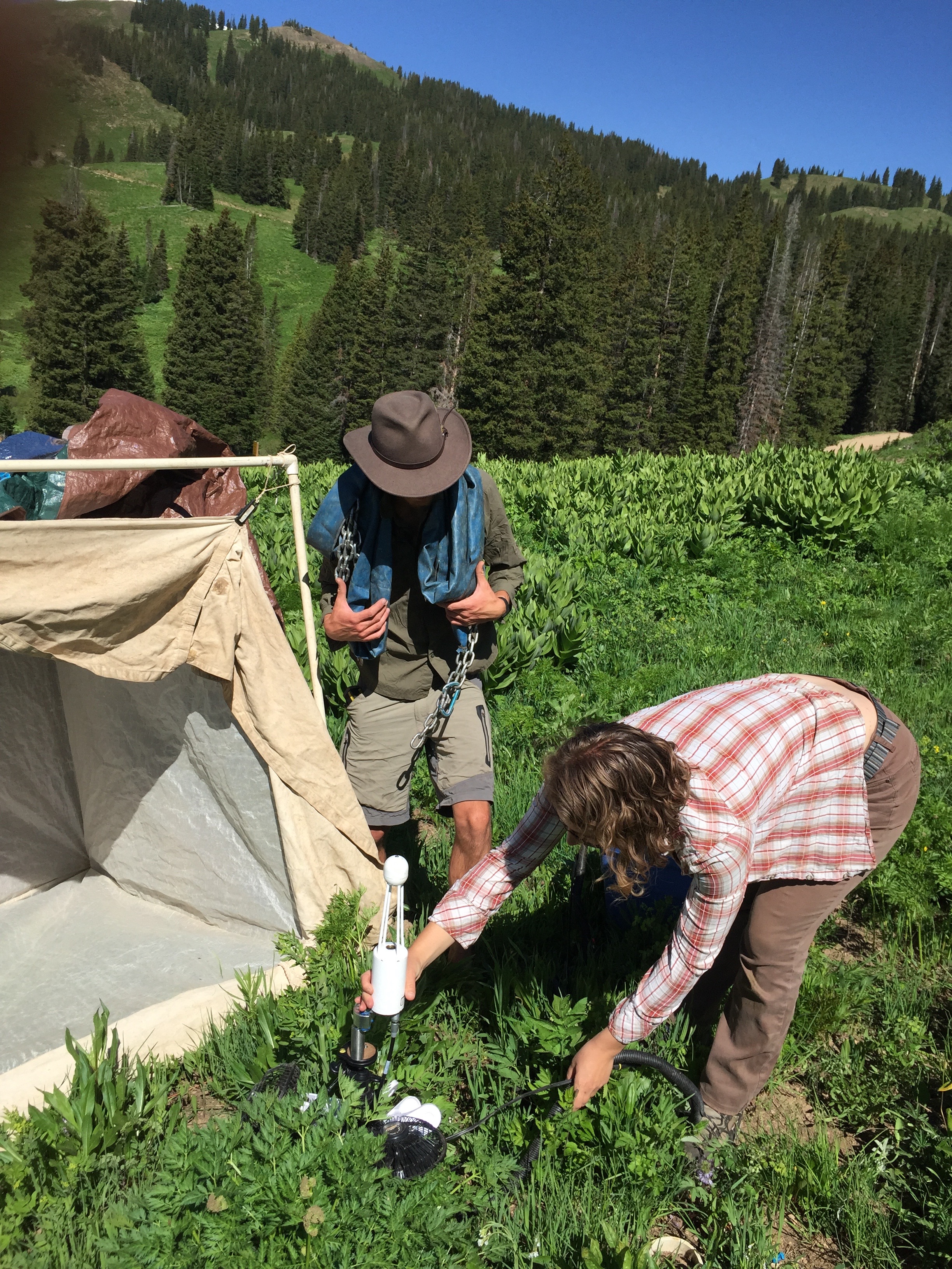 RMBL Colorado field site