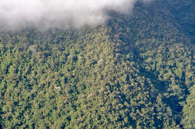Andes mountain landscape during ecological field sampling