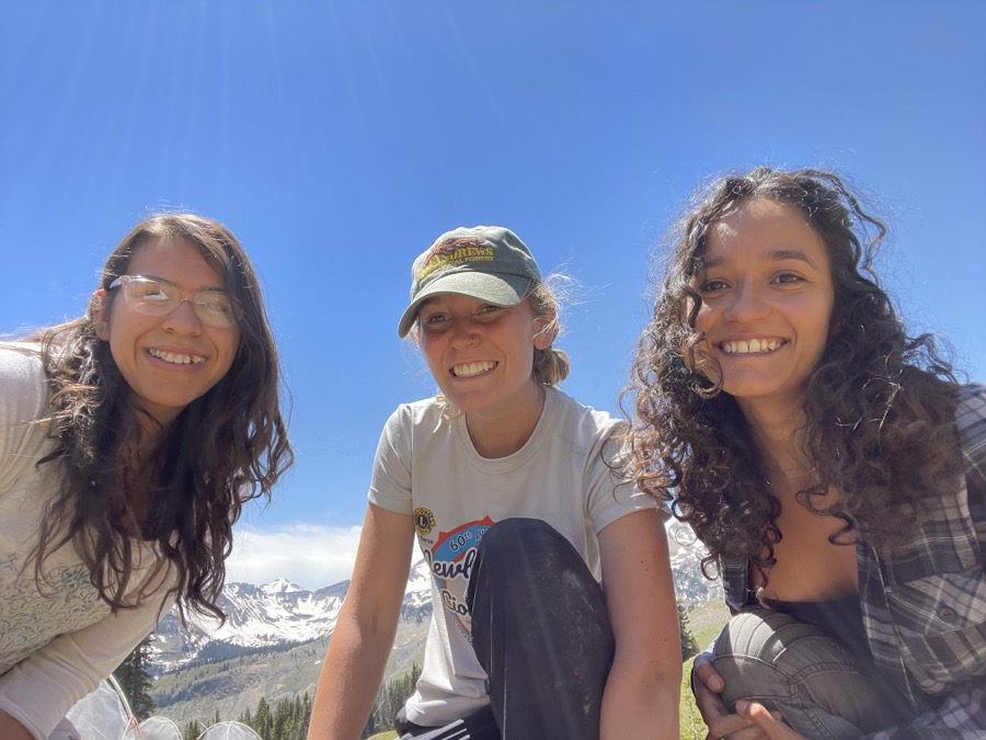 Field crew working in alpine meadow, RMBL transplant project