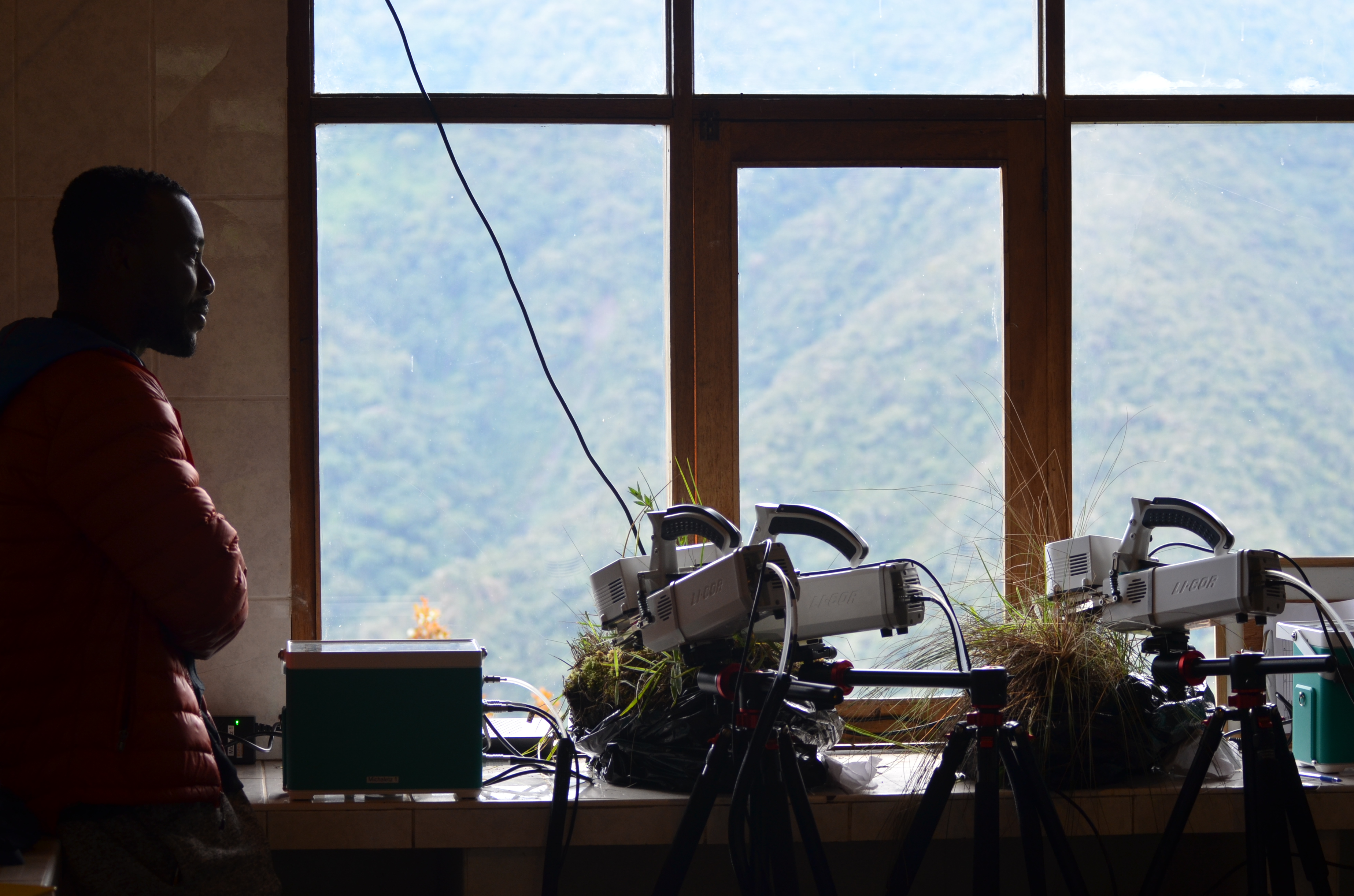 Researcher conducting leaf gas-exchange measurements at an Andean high-altitude field station, cloud-forest slopes visible through the window