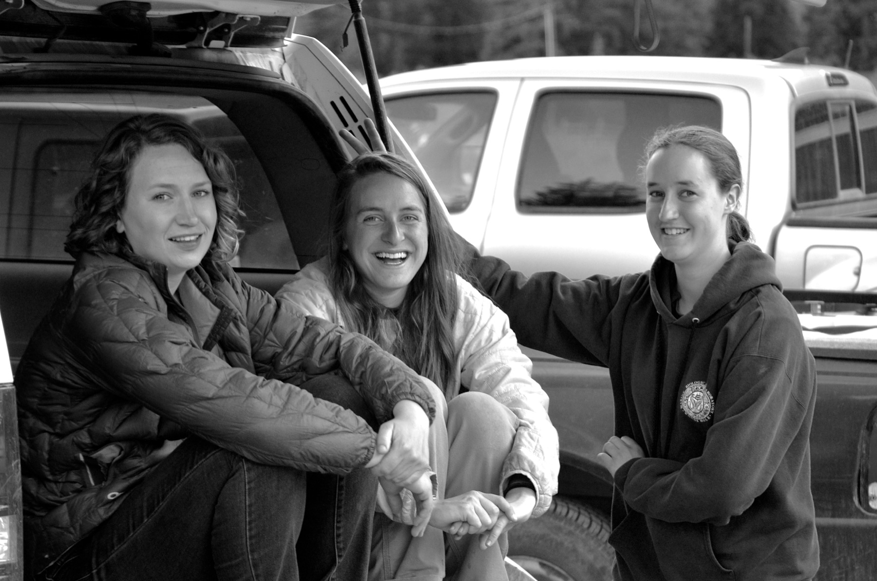 Field team at Rocky Mountain Biological Laboratory transect site