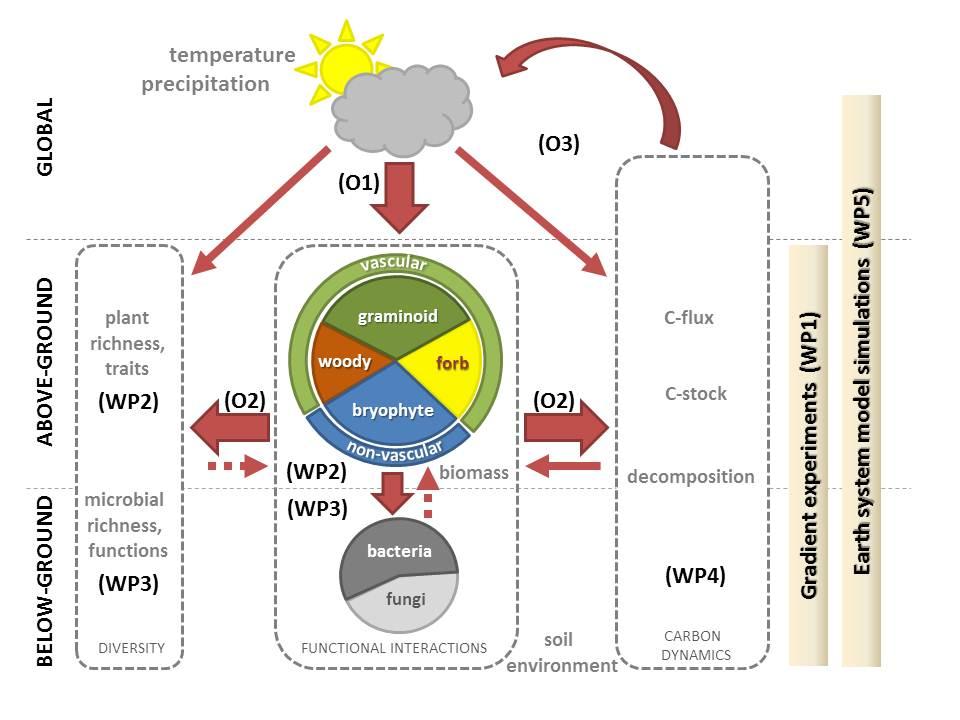 Diagram of functional biodiversity synthesis collaborations