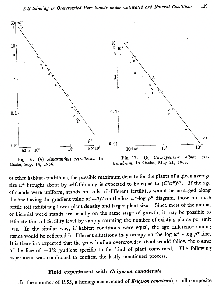 Self-thinning scaling derivation: allometric exponents derived from metabolic scaling first principles